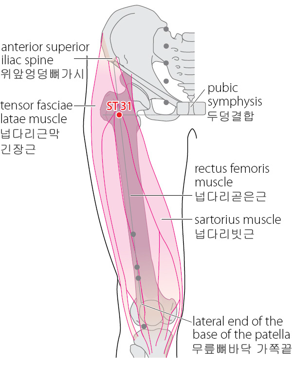 비관 비관.png