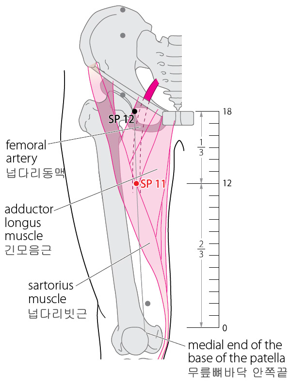 기문.png