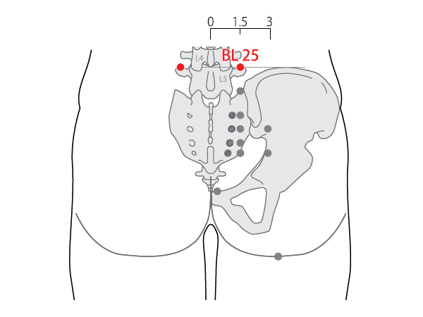대장수 대장수.png