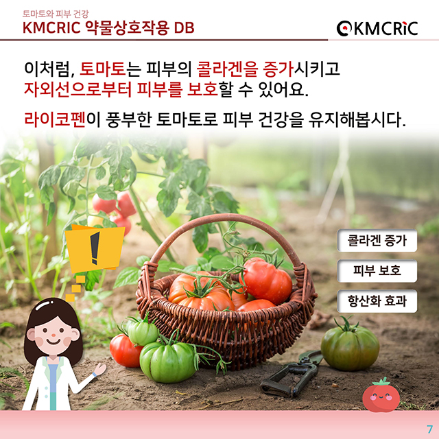 0054 cardnews-약물상호작용 토마토와 피부 건강-한글_페이지_7.jpg
