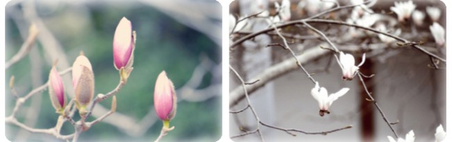 안덕균03-02-1 안덕균03-02-1.jpg
