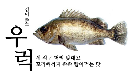 HCH014-01-우럭 HCH014-01-우럭.jpg