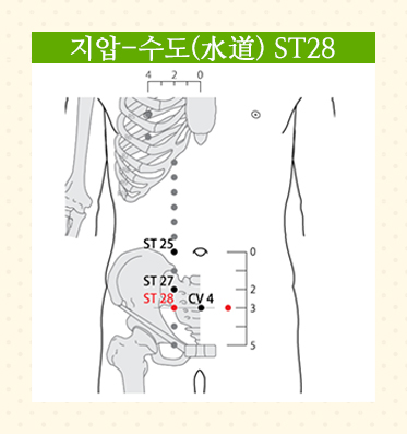 SMY14-02 SMY14-02.jpg