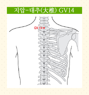 SMY11-02 SMY11-02.jpg