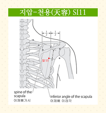 SMY12-02 SMY12-02.jpg