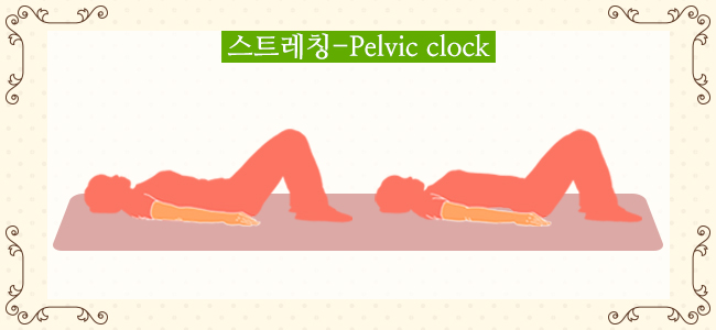 스트레칭-pelvic clock 요통3.jpg