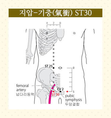 SMY24-02 SMY24-02.jpg