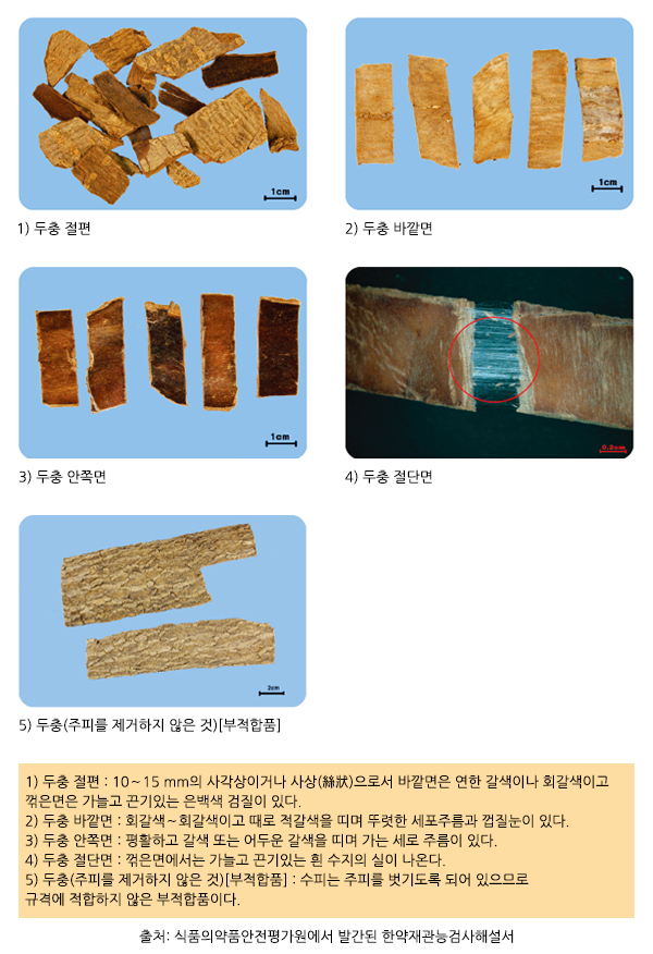 두충 5개.jpg