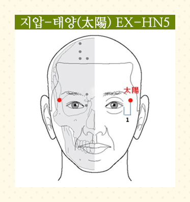 SMY38-02 (태양).jpg