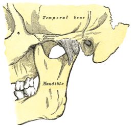 tmj1.JPG