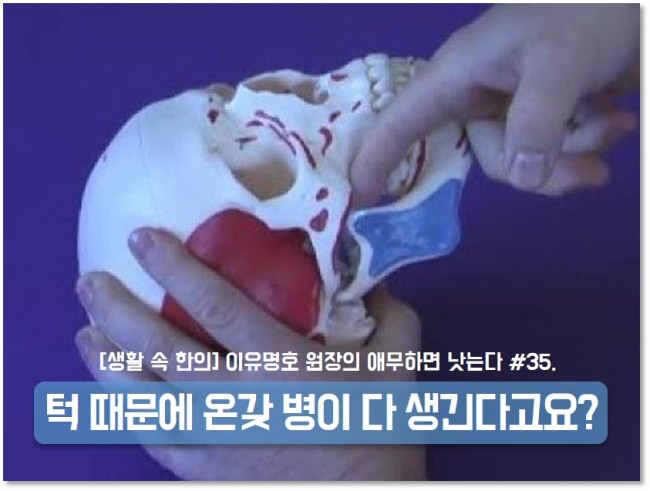 tmj36 tmj36.jpg