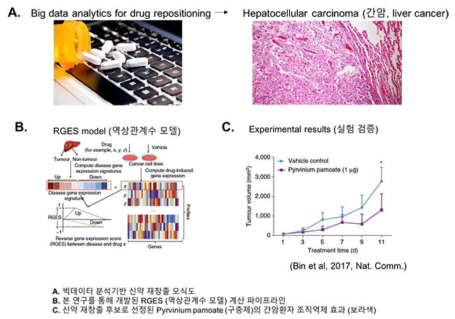 [KISTI 동향] 빅데이터 분석으로 새로운 항암제 찾다.jpg