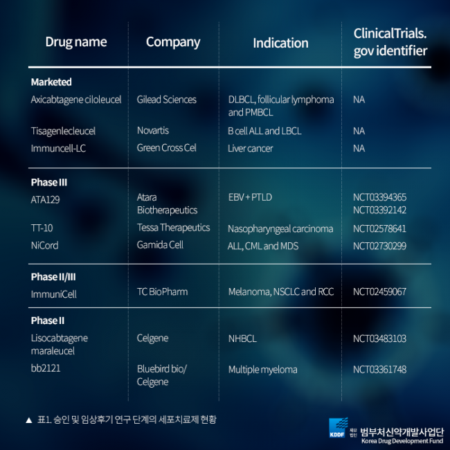 범부처신약개발사업단_항암세포치료제_04.png