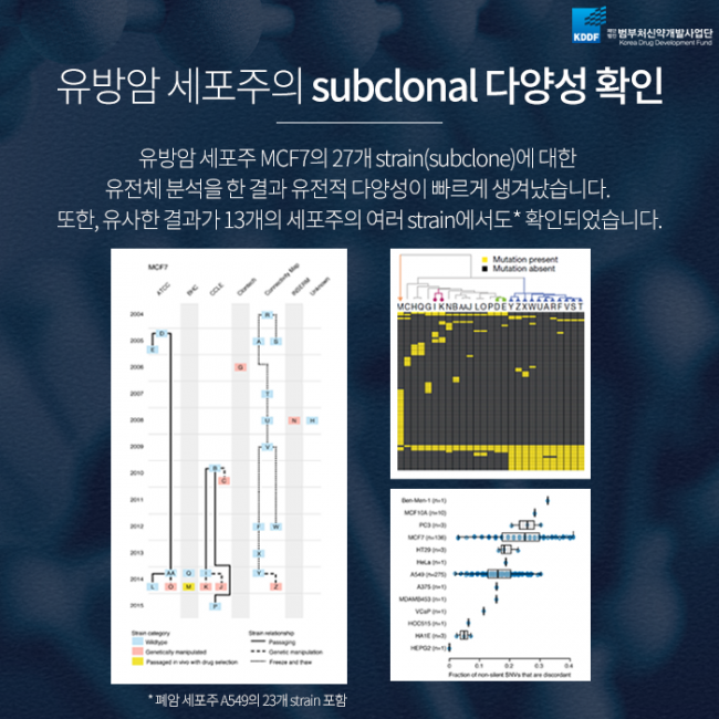 범부처신약사업개발단_암세포주_06.png
