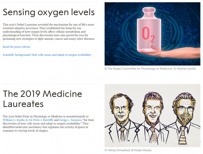 2019 노벨상.PNG