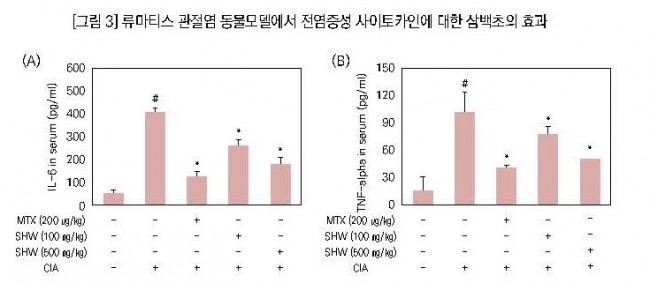 삼백초 그래프 1.jpg