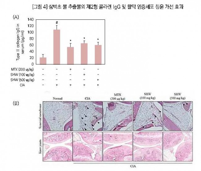 삼백초 그래프 2.jpg