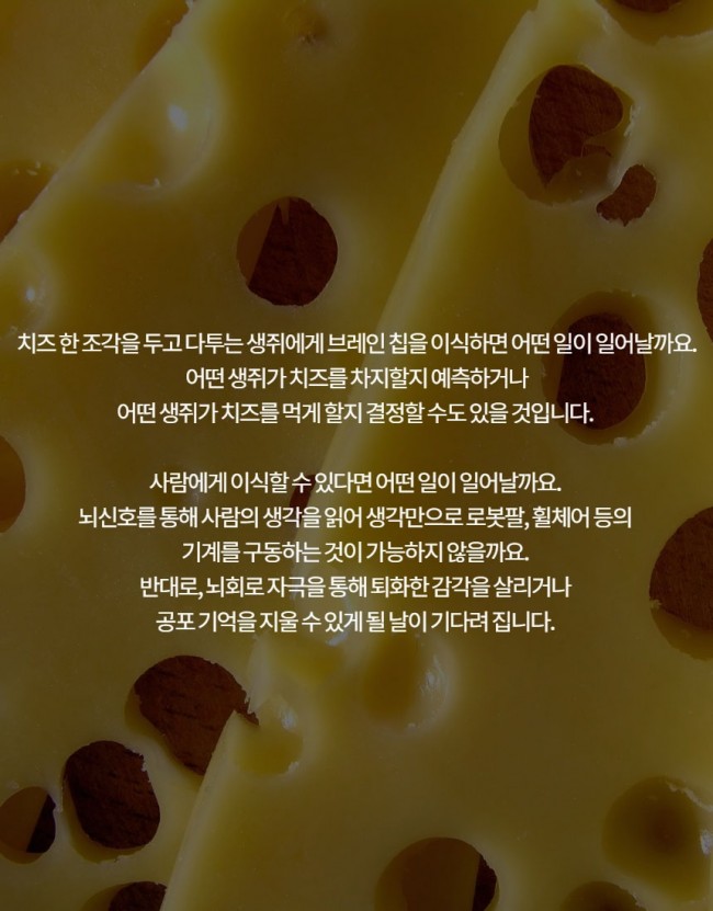 브레인칩7.jpg