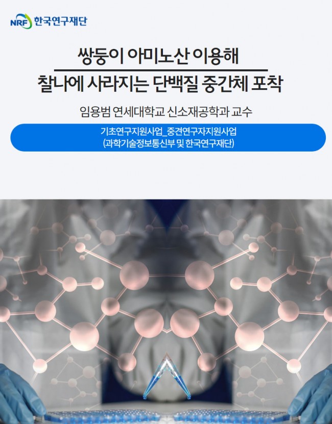 아미노산1.jpg