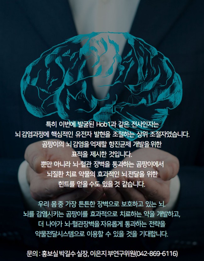 곰팡이7.jpg