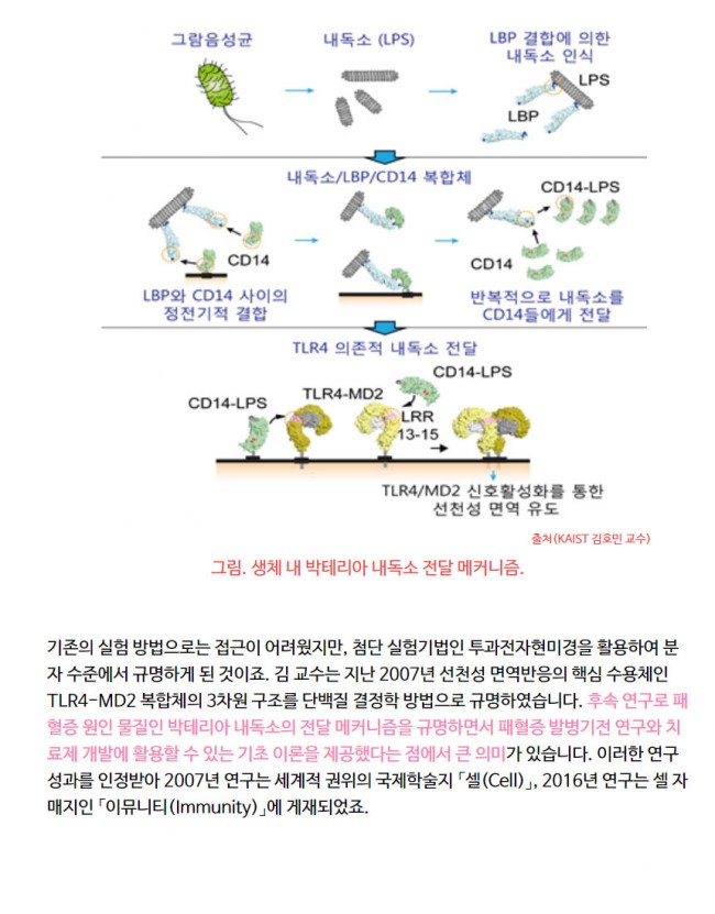 분자구조5.jpg