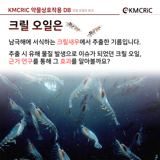 cardnews 약물상호작용 크릴오일의 효과-한글_페이지_2.jpg