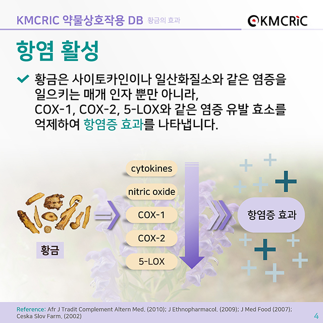 cardnews 약물상호작용 황금의 효과-한글_페이지_4.jpg