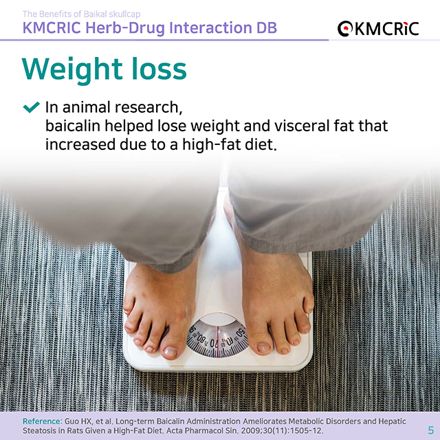 한의약융합연구정보센터