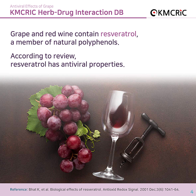 0015 cardnews-약물상호작용 포도의 항바이러스 효과-영어_페이지_4.jpg