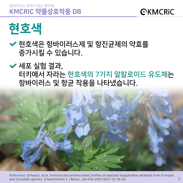 0029 cardnews-약물상호작용 항바이러스 효과가 있는 한약재-한글_페이지_05.jpg