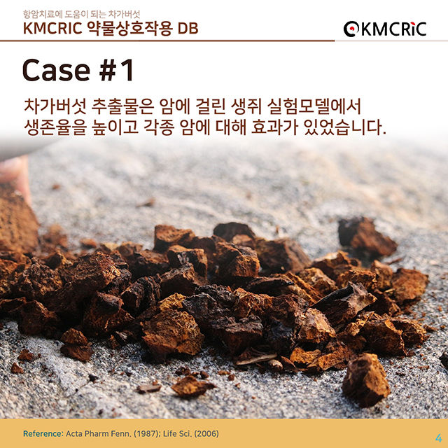 0035 cardnews-약물상호작용 항암치료에 도움이 되는 차가버섯-한글_페이지_04.jpg