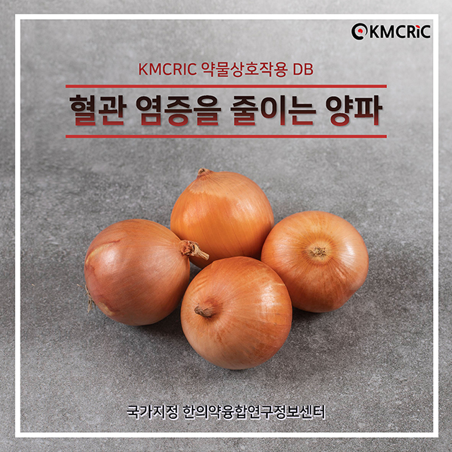 0039 cardnews-약물상호작용 혈관 염증을 줄이는 양파-한글_페이지_01.jpg