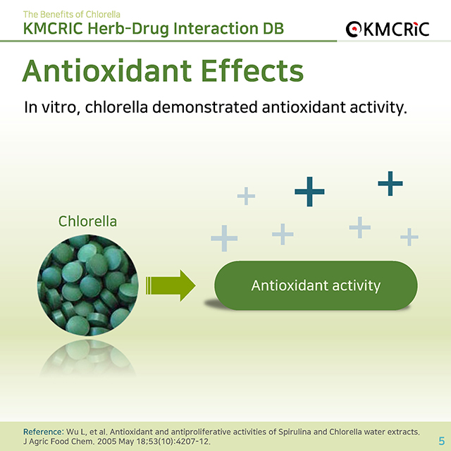 0036 cardnews-약물상호작용 클로렐라의 효능-영어_페이지_05.jpg