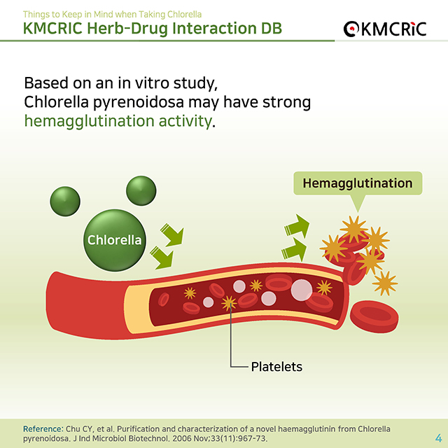 0037 cardnews-약물상호작용 클로렐라를 복용 중이라면 알아두세요-영어_페이지_4.jpg