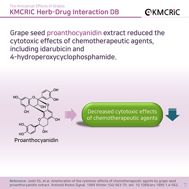 0045 cardnews-약물상호작용 항암 치료에 도움이 되는 포도-영어_페이지_07.jpg