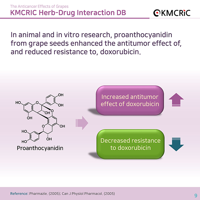 0045 cardnews-약물상호작용 항암 치료에 도움이 되는 포도-영어_페이지_09.jpg