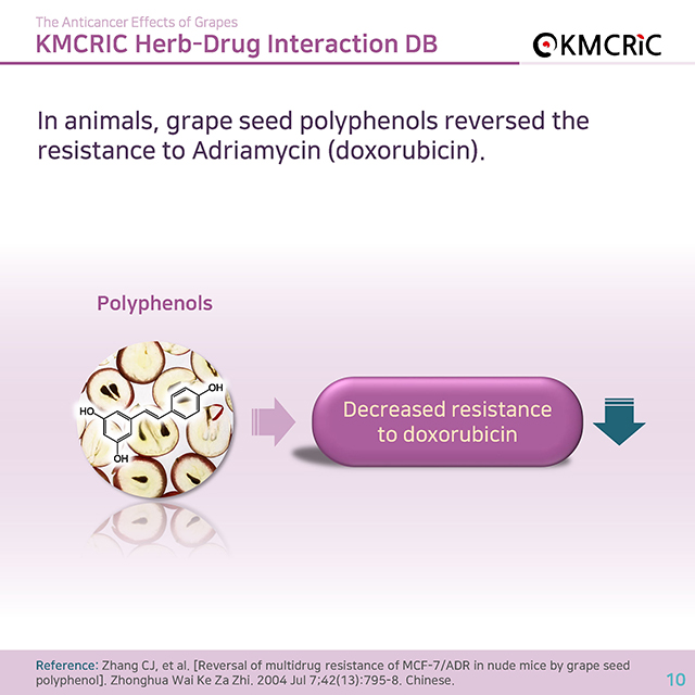 0045 cardnews-약물상호작용 항암 치료에 도움이 되는 포도-영어_페이지_10.jpg