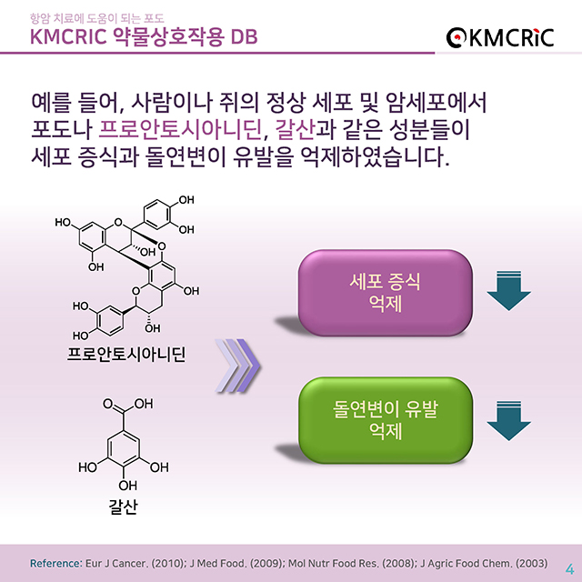 0045 cardnews-약물상호작용 항암 치료에 도움이 되는 포도-한글_페이지_04.jpg