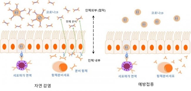 동향분석-[동향]-img-01.jpg