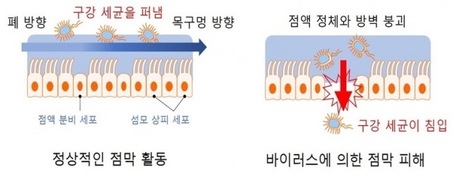 동향분석-[동향]-img-04.jpg