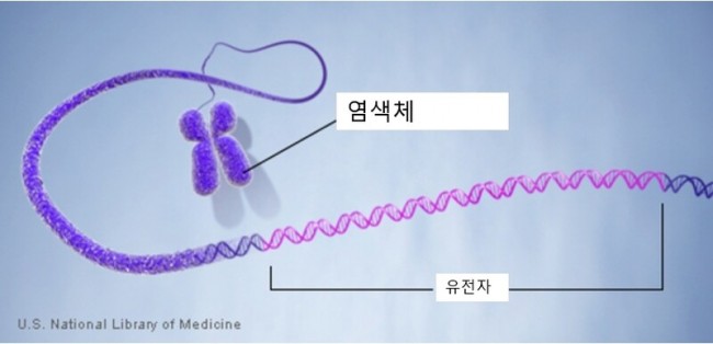 동향분석-[동향]-img-02.jpg