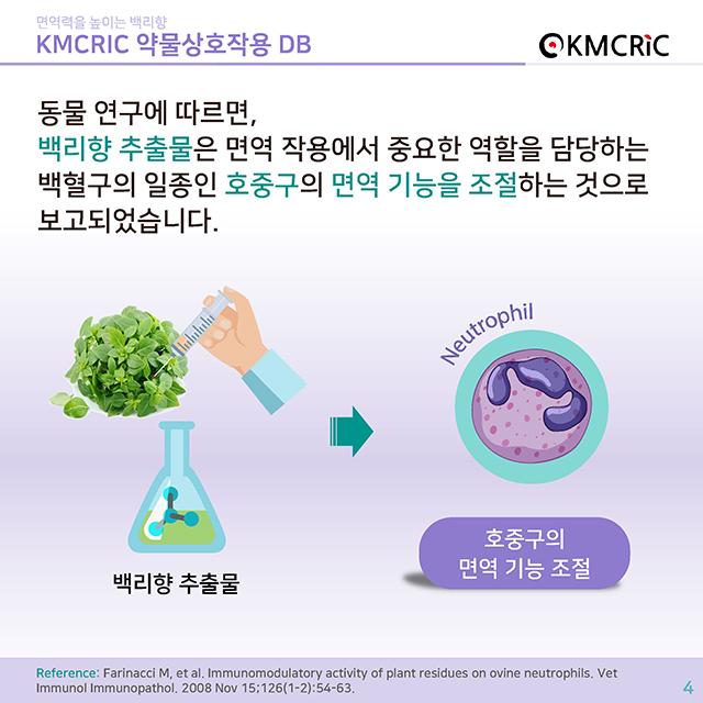 0053 cardnews-약물상호작용 면역력을 높이는 백리향-한글_페이지_4.jpg