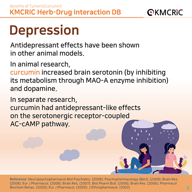 0064 cardnews-약물상호작용 강황(커큐민)의 효과-영어_페이지_06.jpg