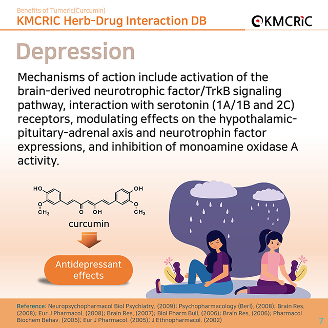 0064 cardnews-약물상호작용 강황(커큐민)의 효과-영어_페이지_07.jpg