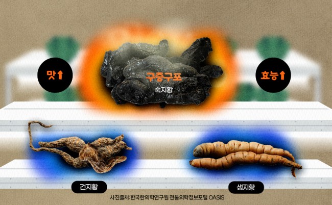 동향분석-[KIOM 동향]-img-03.jpg
