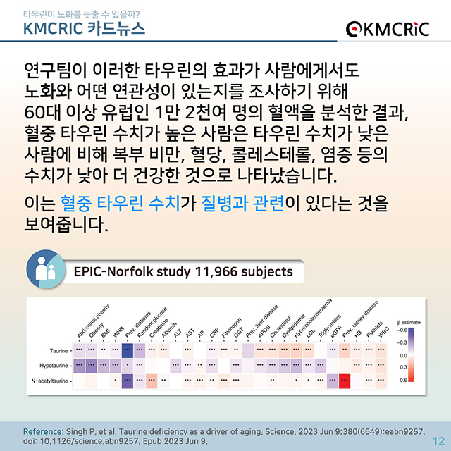 0074 cardnews-타우린이 노화를 늦출 수 있을까-한글_페이지_12.jpg