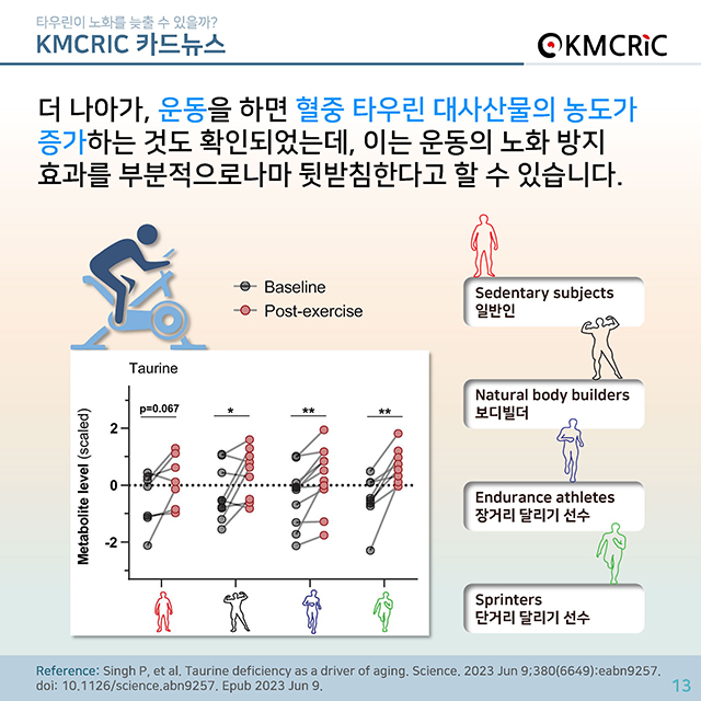 0074 cardnews-타우린이 노화를 늦출 수 있을까-한글_페이지_13.jpg