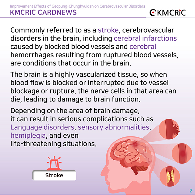 0070 cardnews-거풍청혈단의 뇌혈관 질환 개선 효과-영어_페이지_02.jpg