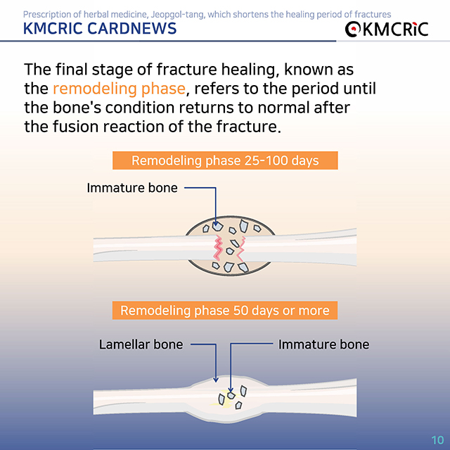0072 cardnews-골절 치료 기간을 단축하는 접골탕 한약 처방-영어_페이지_10.jpg