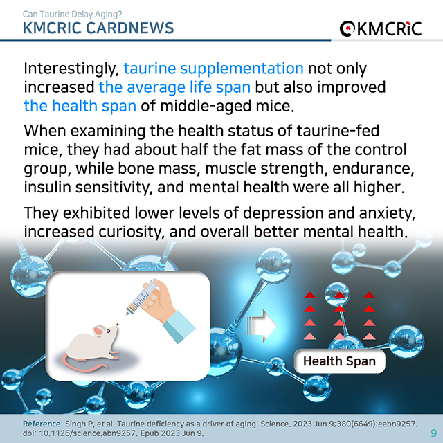 0074 cardnews-타우린이 노화를 늦출 수 있을까-영어_페이지_09.jpg